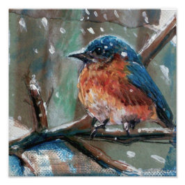 Foto Pintura de inverno com Bluebird