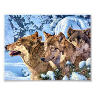 Foto Pintura de lobos vermelhos