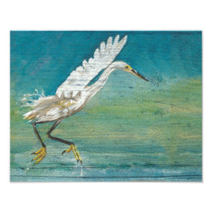 Foto Pintura do Lago Egret Coastal Bird Ocean