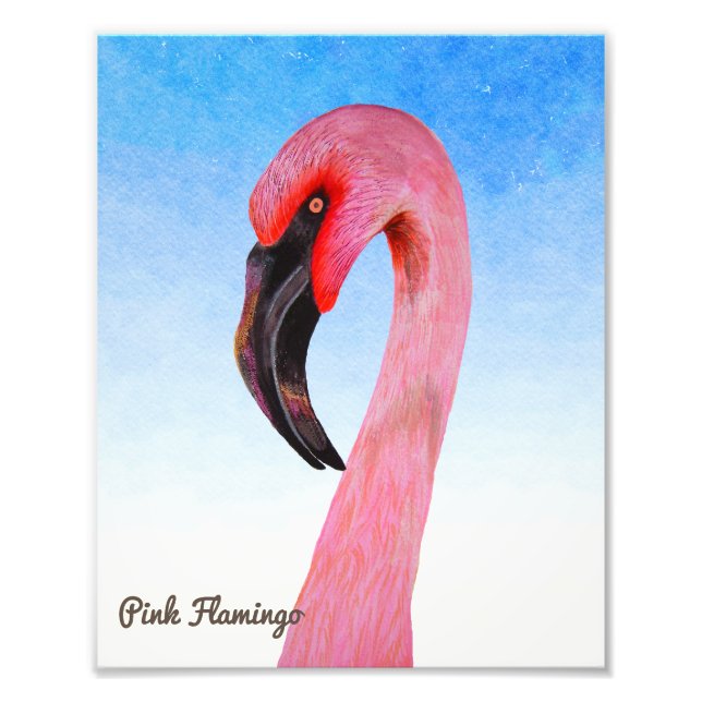 Foto Pintura em Aquarela Flamingo Bird Gouache (Frente)