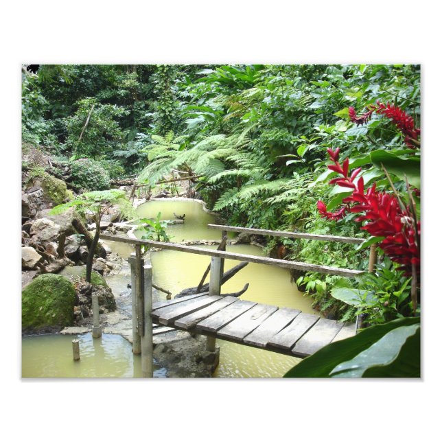 Foto Piscinas de Dominica Sulpher (Frente)