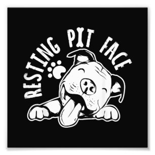 Foto Pit Em Descanso Rosto Engraçado Cachorro Picante