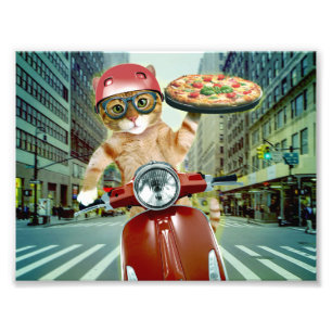 Foto Pizza cat - gato - entrega de pizza