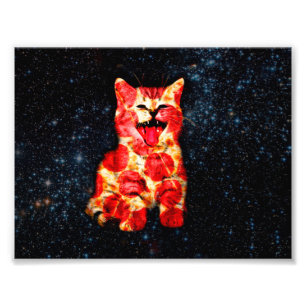 Foto Pizza cat no espaço