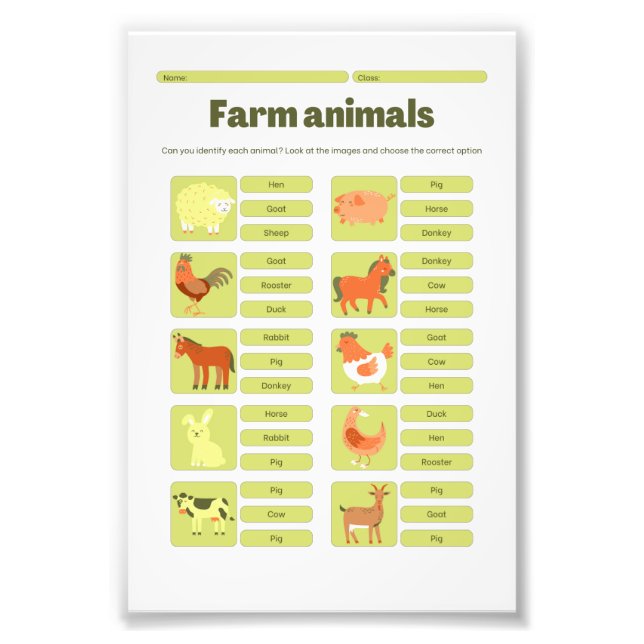 Foto Planilha Educativa de Identificação de Animais da  (Frente)