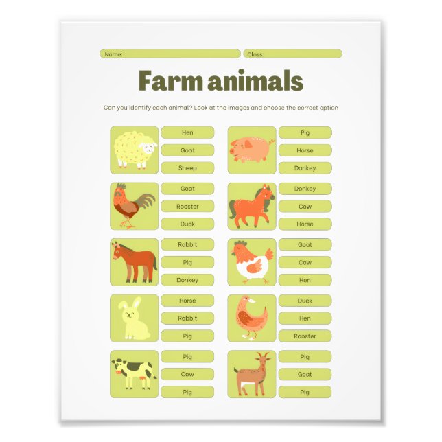 Foto Planilha Educativa de Identificação de Animais da  (Frente)
