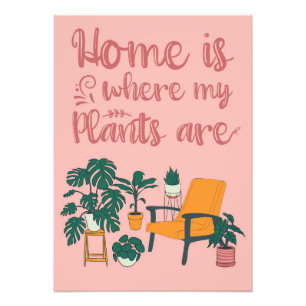 Foto Planta Em Casa É Onde Minhas Plantas Estão