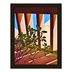 Foto Planta Persistente