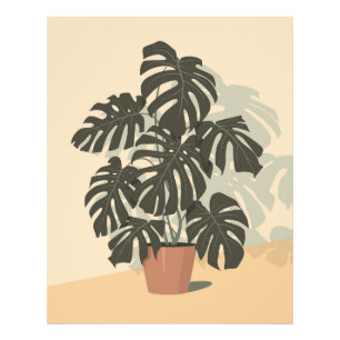 Foto Planta tropical. Monstera
