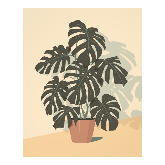 Foto Planta tropical. Monstera (Frente)