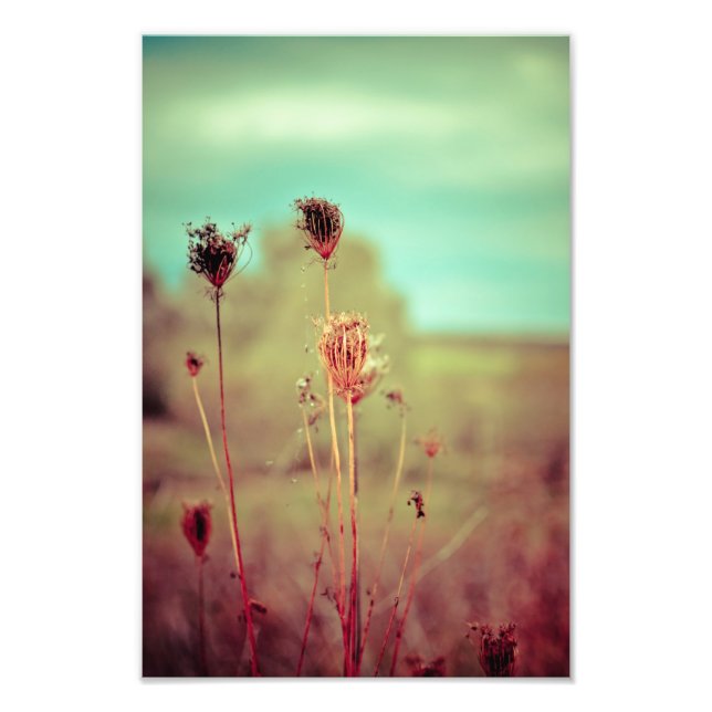 Foto Plantas de colheita (Frente)