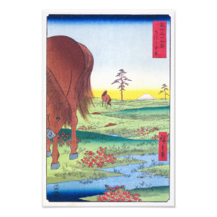 Foto Plataforma de Kogane na província de Shimō Hiro