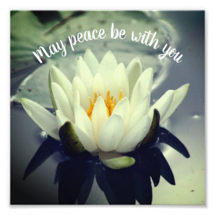 Foto Pode ser que a paz esteja com você Lotus Inspiron 
