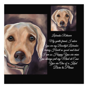Foto Poesia do Labrador Retriever