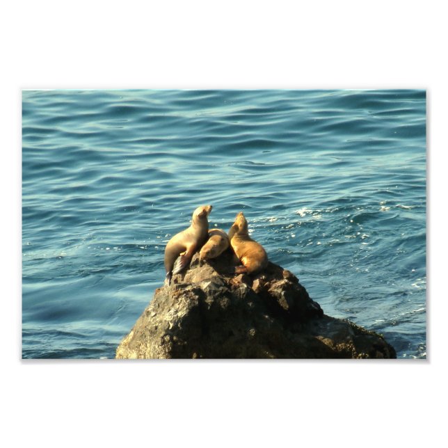 Foto Point Dume State Beach (Frente)