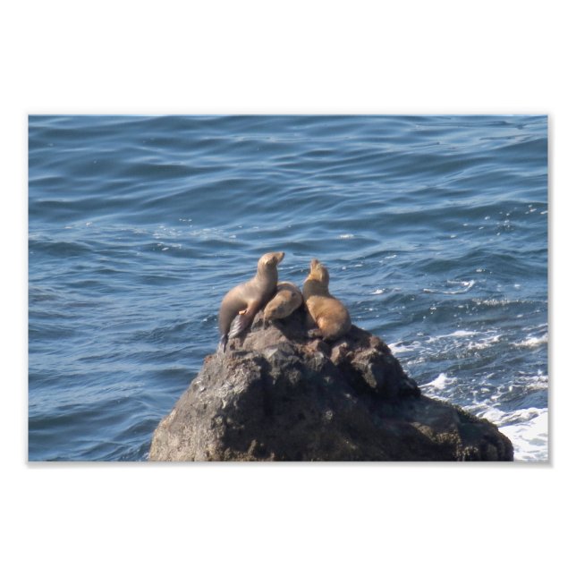 Foto Point Dume State Beach (Frente)
