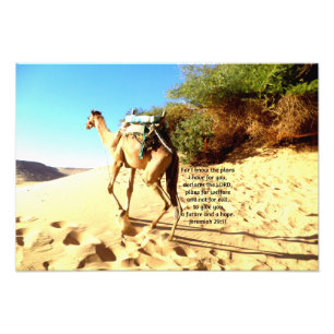 Foto Pois eu sei os planos que tenho....  Jeremiah 29:1