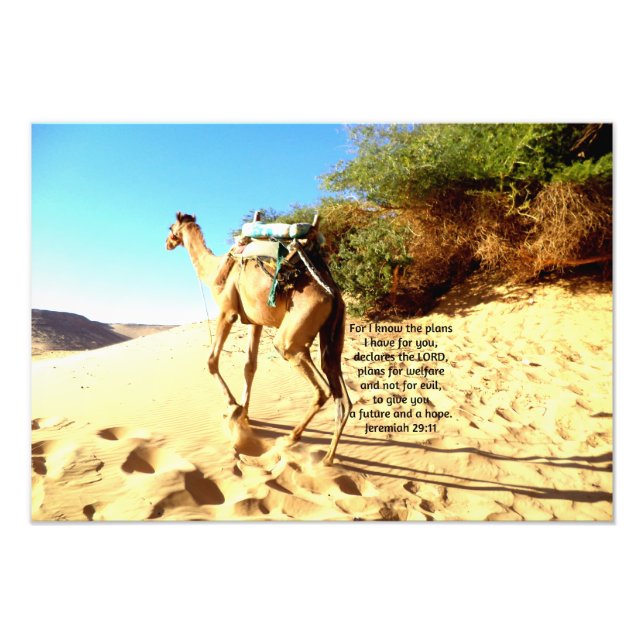 Foto Pois eu sei os planos que tenho.... Jeremiah 29:11 (Frente)