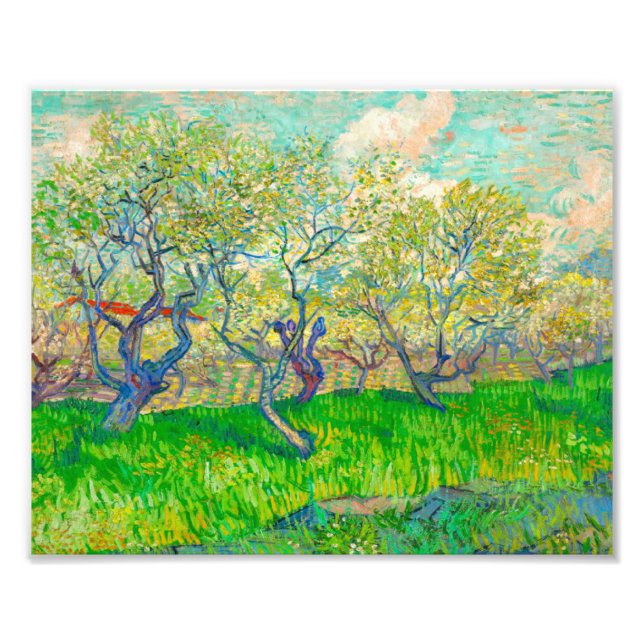 Foto Pomar Vincent van Gogh em Blossom (Frente)