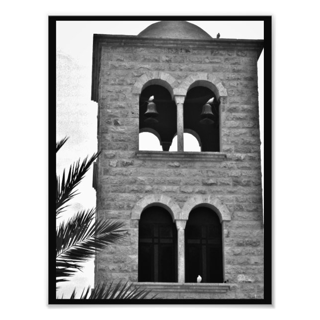 Foto Pombos e pombos (Frente)