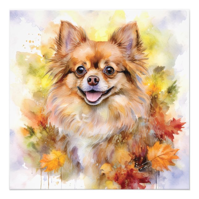 Foto Pomchi Fall Watercolor (Frente)