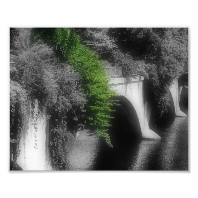 Foto Ponte de Flores Cor Parcial 8x10 (Frente)
