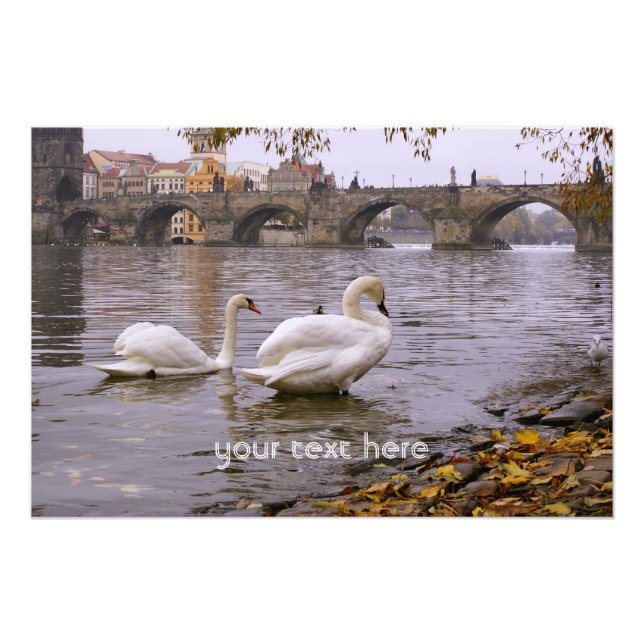 Foto Ponte Swans e Charles em Praga (Frente)
