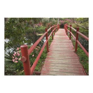 Foto Ponte vermelha sobre o lago, Magnolia Plantation,