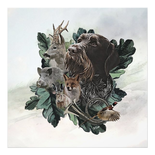 Foto Ponteiro alemão Wirehaired (Frente)