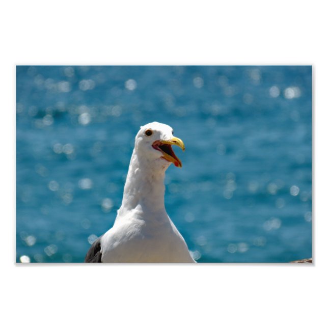Foto Ponto (Frente)