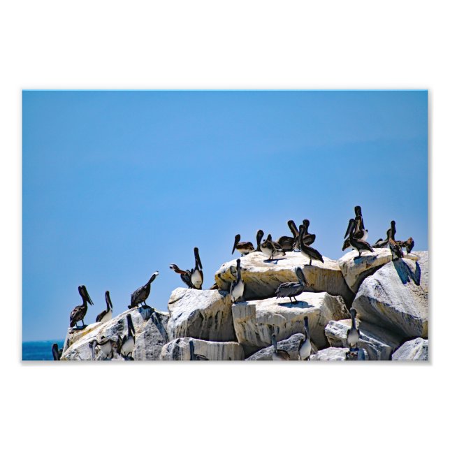 Foto Ponto Dana (Frente)