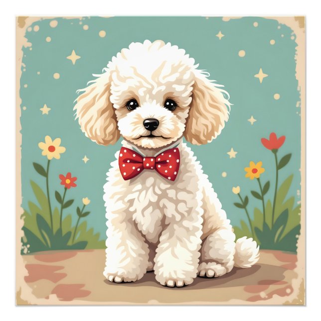 Foto Poodle branco adorável com gravata borboleta (Frente)