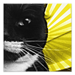 Foto Pop Art Lucy Closeup