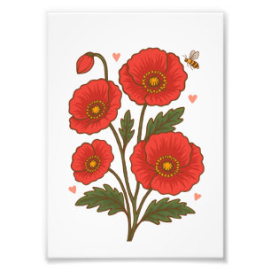 Foto Poppy Flower