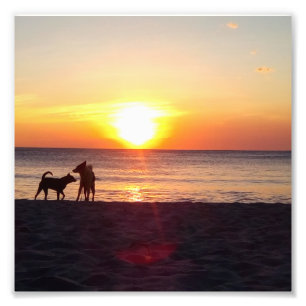 Foto pôr do sol