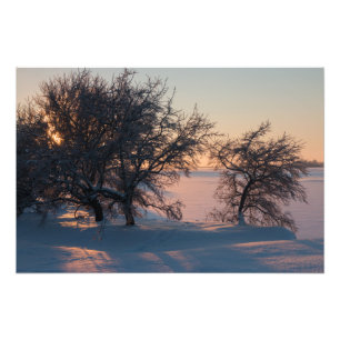 Foto Por do sol cor-de-rosa bonito do inverno em