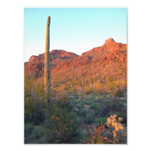 Foto Por do sol do parque nacional de Saguaro