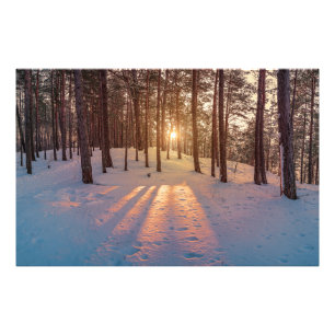 Foto Pôr do sol em floresta de pinheiros nevada no inve