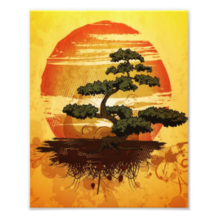 Foto Por do sol japonês da árvore dos bonsais