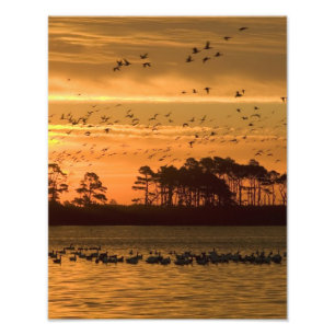 Foto Por do sol na reserva natural Virgínia de