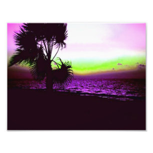 Foto Por do sol tropical