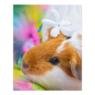 Foto Porco de Porco de Guiné
