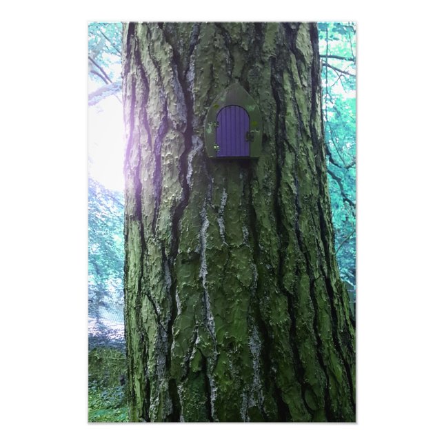 Foto Porta de fada na Poster de árvore (Frente)