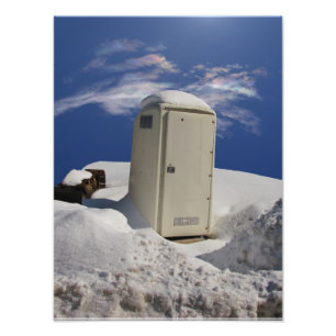 Foto portátil do ~ do Potty