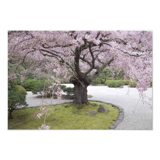 Foto Portland Japan Gardern, Portland, Oregon (Frente)