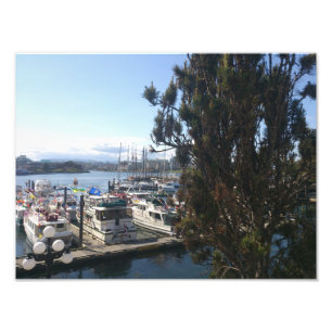 Foto Porto de Vitória