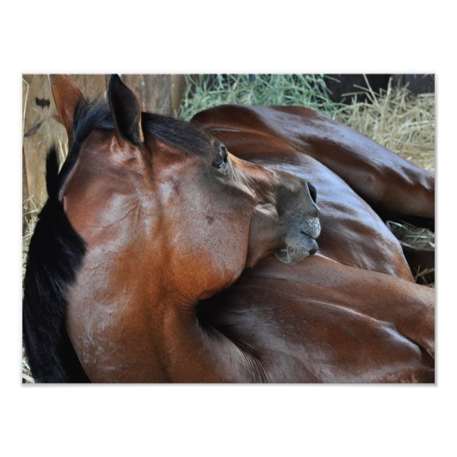 Foto Positivamente Real (Frente)