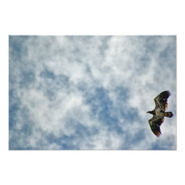 Foto Possibilidades futuras