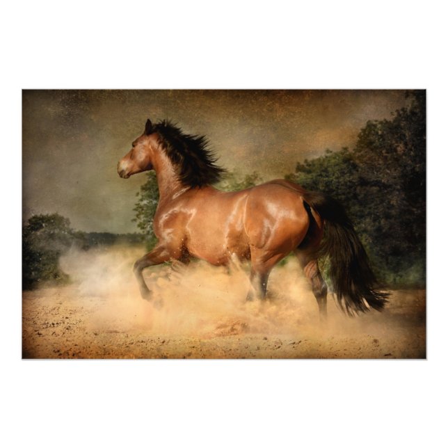 Foto poster (Frente)