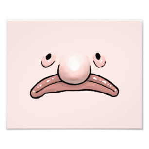 Foto Poster da evolução de Blobfish